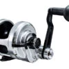 Accurate Boss Dauntless Two Speed Reels -Saltwater Fishing Tackle Store accurate boss dauntless two speed reels 58296.1696915908