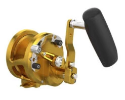 Avet HXJ Raptor Plus Lever Drag Conventional Reels -Saltwater Fishing Tackle Store avet hxj raptor plus lever drag conventional reels 98700.1715098468