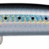Daiwa Salt Pro Minnow Bullet -Saltwater Fishing Tackle Store daiwa salt pro minnow bullet 89262.1697027992
