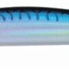 Daiwa Salt Pro Minnow 1 Daiwa Salt Pro Minnow -Saltwater Fishing Tackle Store daiwa salt pro minnow saltwater lures 73856.1696738419