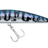 Daiwa Saltiga Cuddler Lures