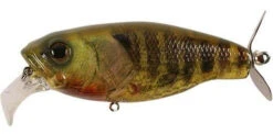 Deps Buzzjet Lure -Saltwater Fishing Tackle Store deps bj96 buzzjet lure 09249.1696830086