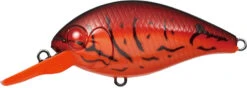 Evergreen CR Crankbaits -Saltwater Fishing Tackle Store evergreen cr crankbaits 02238.1696952636