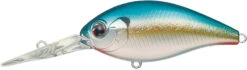 Evergreen CR Crankbaits -Saltwater Fishing Tackle Store evergreen cr crankbaits 43353.1696952637