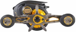 Penn Fathom Low-Profile Baitcasting Reels -Saltwater Fishing Tackle Store penn fathom low profile baitcasting reels 01645.1697116205