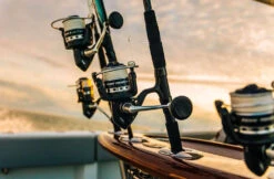 Penn Pursuit IV Spinning Reels -Saltwater Fishing Tackle Store penn pursuit iv spinning reels 95649.1697291263