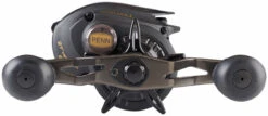 Penn Squall Low Profile Baitcasting Reels -Saltwater Fishing Tackle Store penn squall low profile baitcasting reels 11308.1697116263