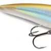 Rapala X-Rap -Saltwater Fishing Tackle Store rapala x rap lure 70199.1696920074