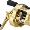 Shimano Calcutta Conquest 100 & 200 A Baitcasting Reels -Saltwater Fishing Tackle Store shimano calcutta conquest 100 200 baitcasting reels 63488.1697167591