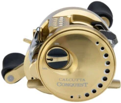 Shimano Calcutta Conquest 100 & 200 A Baitcasting Reels 14 Shimano Calcutta Conquest 100 & 200 A Baitcasting Reels -Saltwater Fishing Tackle Store shimano calcutta conquest 100 200 baitcasting reels 80607.1697167596