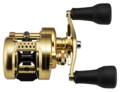 Shimano Calcutta Conquest MD Baitcasting Reels -Saltwater Fishing Tackle Store shimano calcutta conquest md baitcasting reels 70495.1697343751