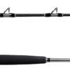 Shimano Terez BW Deep Drop Rods -Saltwater Fishing Tackle Store shimano terez bw deep drop rods 87320.1697208631