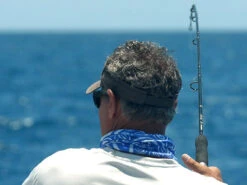 Shimano Terez Spinning Rods -Saltwater Fishing Tackle Store shimano terez spinning fishing rods 84463.1696843888