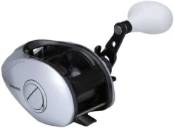 Shimano TranX 500 Baitcasting Reels -Saltwater Fishing Tackle Store shimano tranx baitcasting reels 76162.1696844209