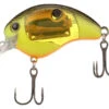 Shimano World Rush Square Bill Crankbait - Black Back Chart -Saltwater Fishing Tackle Store shimano wr56fbbc world rush square bill crankbait 74529.1697349608