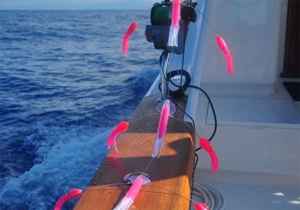 Squidnation That Flippy Floppy Thing Daisy Chain 4 Squidnation That Flippy Floppy Thing Daisy Chain - Image 2