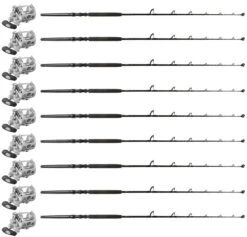 Penn International INT30VISWS / TDPS643050WTSIN Canyon Pa. (9 Combos)