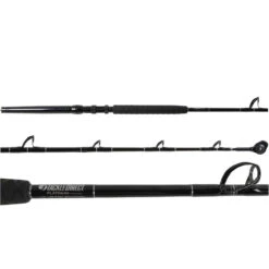 Penn International INT30VISWS / TDPS643050WTSIN Canyon Pa. (9 Combos) -Saltwater Fishing Tackle Store tackledirect 9 int30visws tdps643050wtsin canyon ready package 41703.1730305367