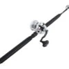 Shimano Talica BFC / Platinum Hook TDPS662040SIN White Marlin Combo