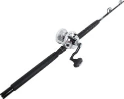 Shimano Talica BFC / Platinum Hook TDPS662040SIN White Marlin Combo