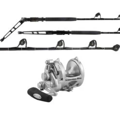 Penn International 50VISXS / TDPS6080130WTXC-Terminator Combo