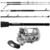 Penn International 30VIWS / Platinum Hook TDPS643050WTSIN-TERM Combo -Saltwater Fishing Tackle Store tackledirect tdps643050wtsin terminator int30viws platinum hook w win tip standup combo 90612.1714146729