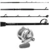 Avet EX 50/2 Silver / Platinum Hook TDPS645080WTSIN Standup Combo 2 Avet EX 50/2 Silver / Platinum Hook TDPS645080WTSIN Standup Combo -Saltwater Fishing Tackle Store tackledirect tdps645080wtsin ex 50 2 silver platinum hook w win tip standup combo 42193.1714146738