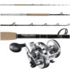 Shimano Speedmaster 16II / Platinum Hook TDPSTSC661630SIC Combo -Saltwater Fishing Tackle Store tackledirect tdpstsc661630sic spm16ii billfish combo 09581.1720023085