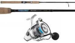 Penn Battle III DX BTLIII4000DX / Silver Hook TDSS701MH Inshore Combo