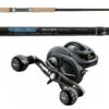 TackleDirect TDSSC701MHT / Daiwa LX-WN300HS Lexa WN Baitcasting Combo -Saltwater Fishing Tackle Store tackledirect tdssc701mht silver hook daiwa lx wn300hs lexa type wn baitcasting combo 85123.1697124050