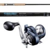 TackleDirect TDSSC701MHT / Shimano TOR14HGA Torium Combo -Saltwater Fishing Tackle Store tackledirect tdssc701mht silver hook shimano tor14hga torium combo 45811.1697202953.386.513