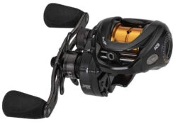 Team Lews Pro SP Baitcasting Reels -Saltwater Fishing Tackle Store team lews pro sp baitcasting reels 66106.1697201940