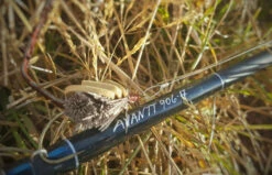 Thomas & Thomas Avantt Series Fly Rods -Saltwater Fishing Tackle Store thomas thomas avantt series fly rods 49281.1697066811