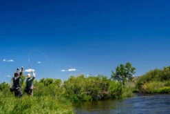 Thomas & Thomas Lotic Series Fly Rods 8 Thomas & Thomas Lotic Series Fly Rods -Saltwater Fishing Tackle Store thomas thomas lotic series fly rods 58387.1697066858