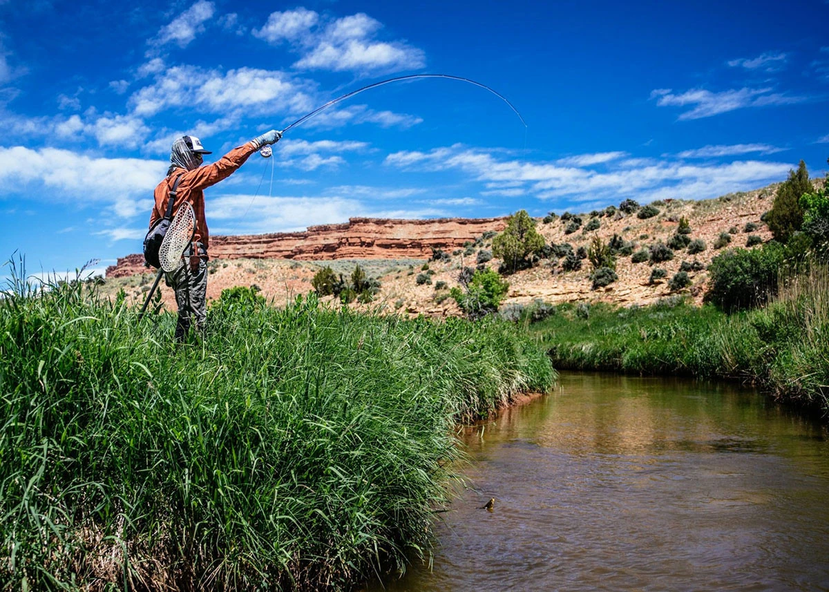 Thomas & Thomas Lotic Series Fly Rods 6 Thomas & Thomas Lotic Series Fly Rods - Image 4