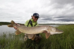 Thomas & Thomas Exocett Predator Fly Rod - 9 Ft. 4 In. - 45 Grain -Saltwater Fishing Tackle Store thomas thomas predator 94450 4 exocett predator fly rod 08956.1697066832