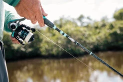 Toadfish Inshore Spinning Rods -Saltwater Fishing Tackle Store toadfish inshore spinning rods 04936.1697123124