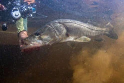 Van Staal VR Spinning Reels -Saltwater Fishing Tackle Store van staal vr series spinning reels 54280.1697075216