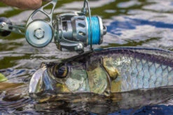 Van Staal VR Spinning Reels -Saltwater Fishing Tackle Store van staal vr series spinning reels 98710.1697075216